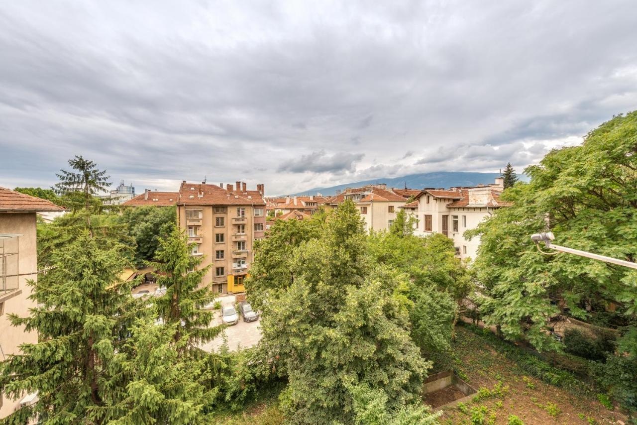 Beautiful Jewel In Center Sofia